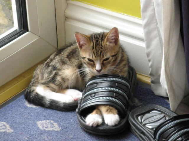 德甲球队在高强度对抗中体能衰减与技术失误关系研究